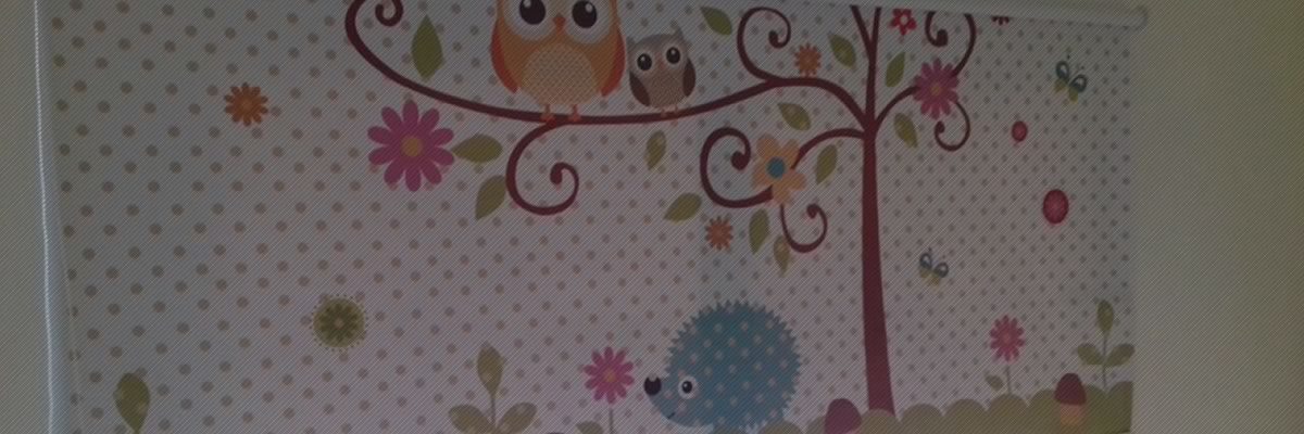 cortinas Roller